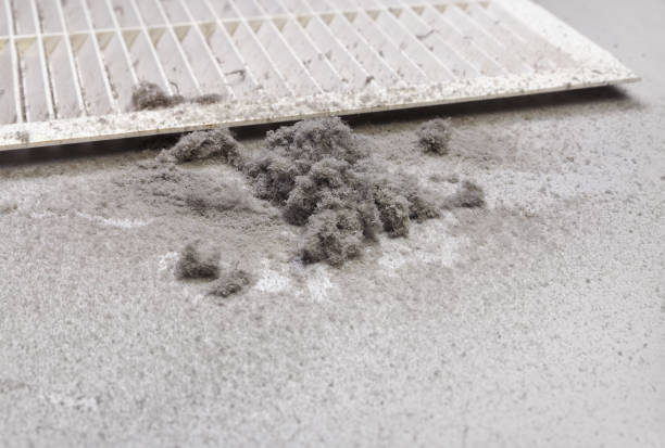 Best Ductwork Cleaning Services  in Sweetser, IN